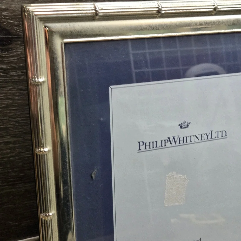 Philip Whitney Silver Plated Faux Bamboo Picture Frame 8x10 Vintage Tabletop